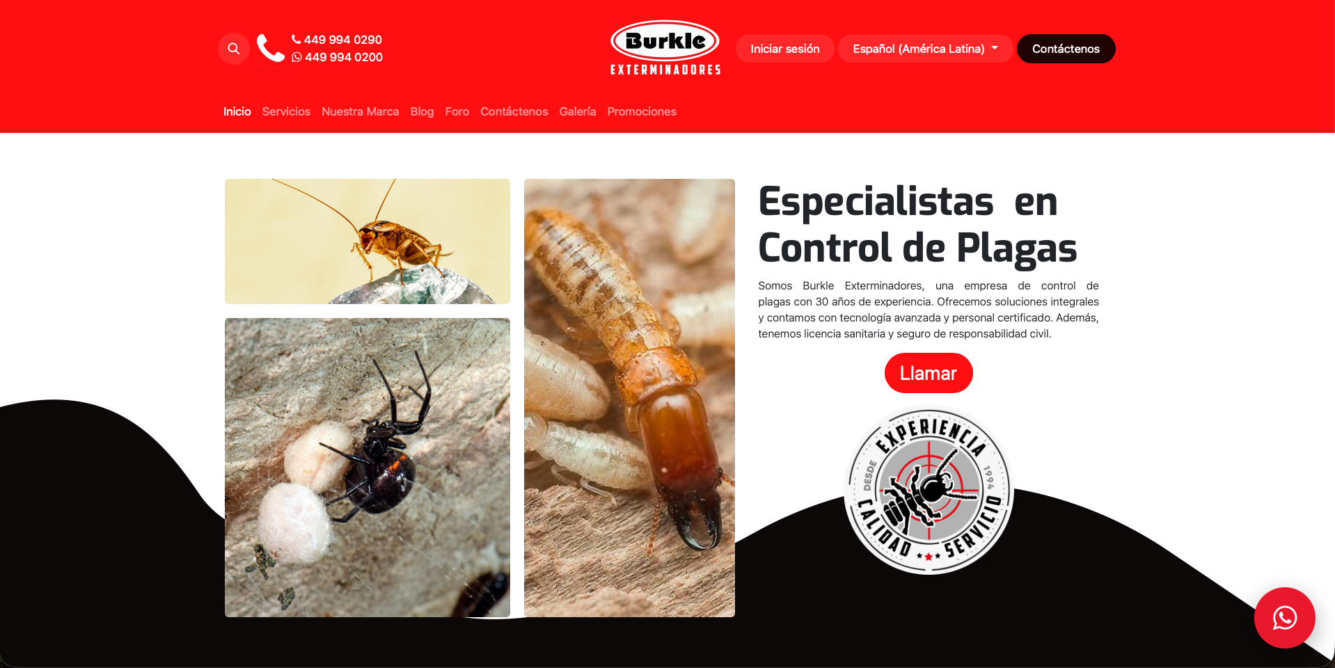 Burkle Fumigaciones screenshot